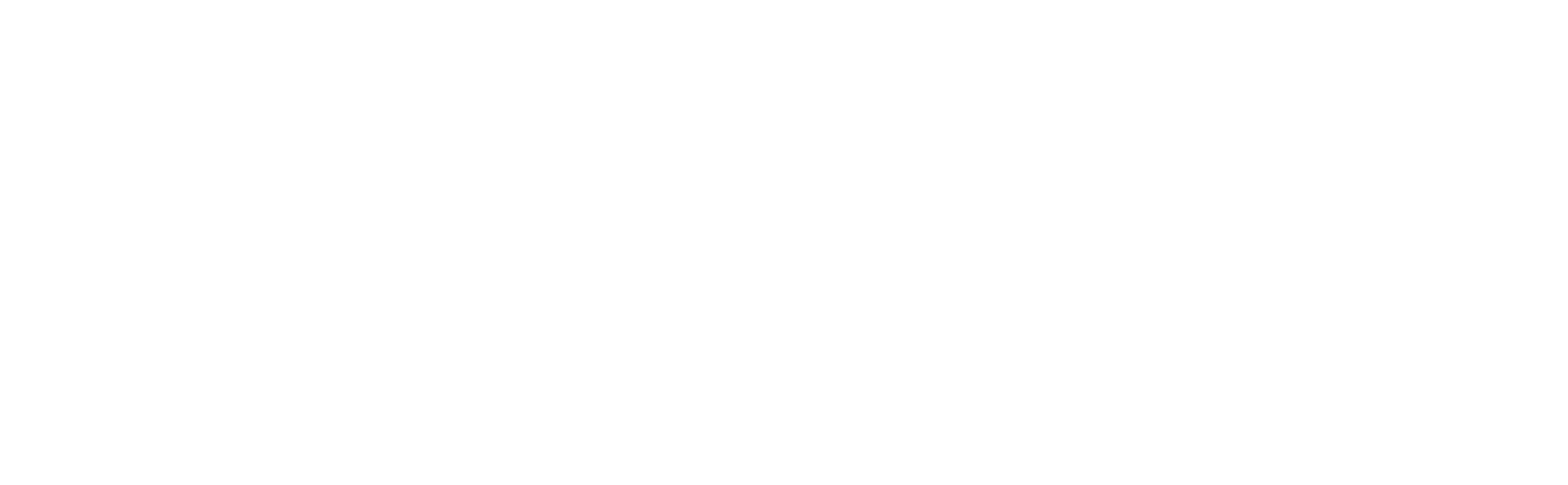 United Airlines White