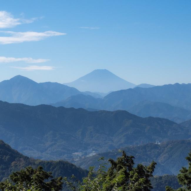 トランスパーフェクト チャリティーイベント