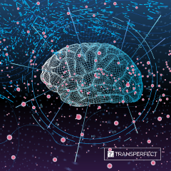 TransPerfect Machine Translation Competition