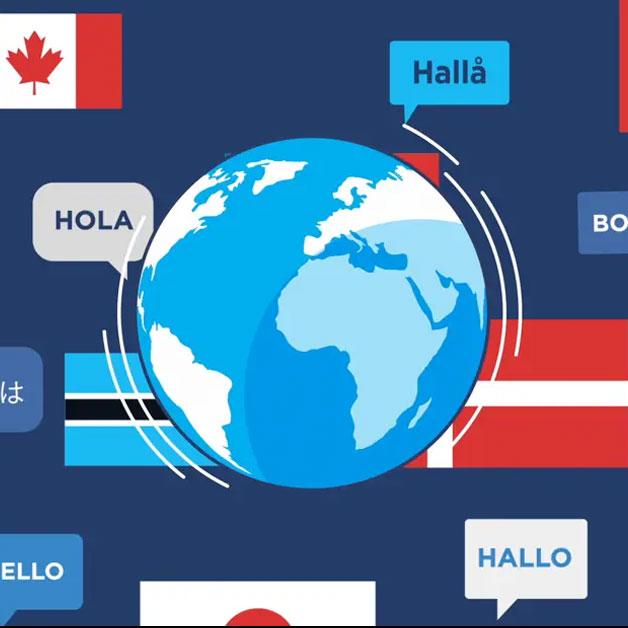 OneLink Website Translation Video