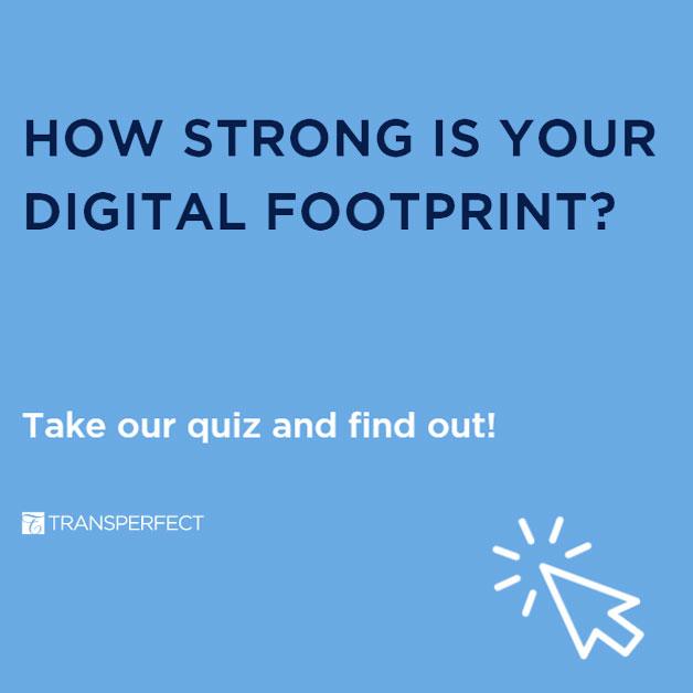 Digital Footprint Survey