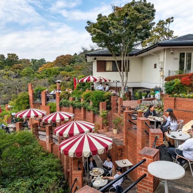 トランスパーフェクト　チャリティーイベント