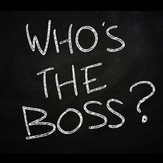 Who's the Boss?