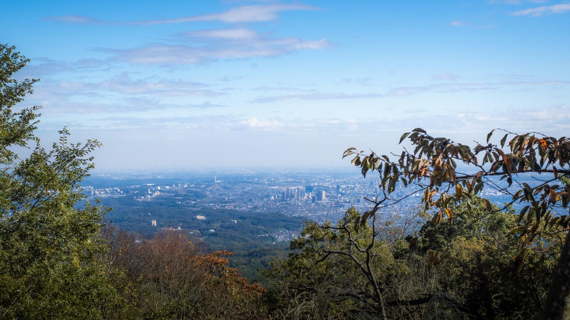 トランスパーフェクト チャリティーイベント
