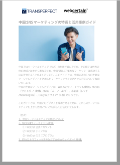 中国マーケットのSNSレポート