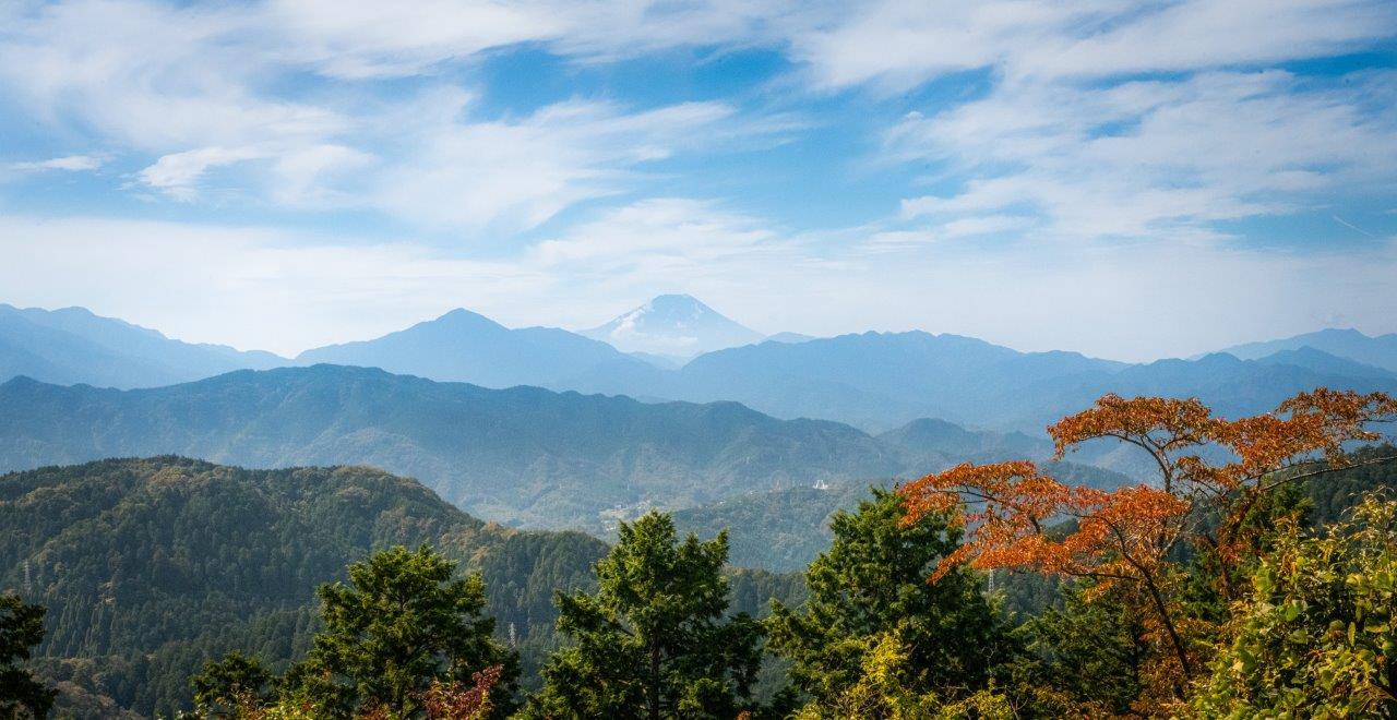 トランスパーフェクト 高尾山ハイキング